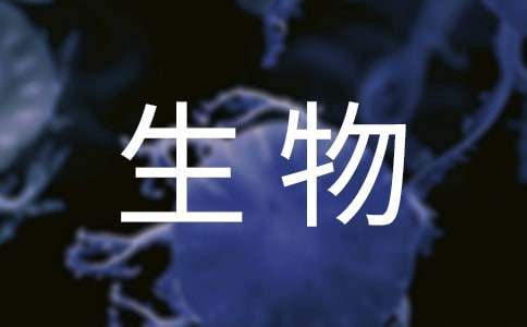 生物制藥的職業生涯規劃書范文（通用12篇）