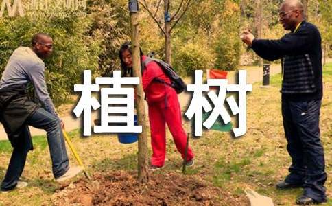全民義務(wù)植樹倡議書
