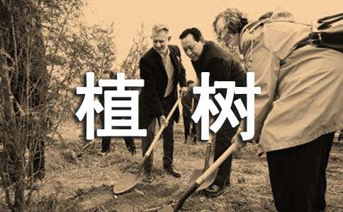 關于義務植樹倡議書