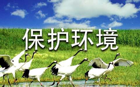 精華保護環境的倡議書模板錦集