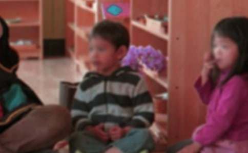 幼兒園幼師辭職信個(gè)人原因（通用15篇）