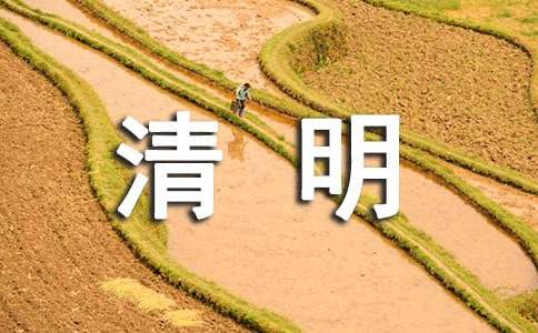 林業(yè)局近期及清明節(jié)期間森林防火實(shí)施方案