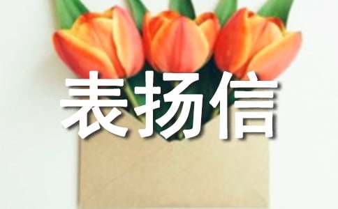 對工程師的表揚信