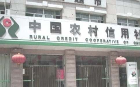 農(nóng)村信用社述職報告