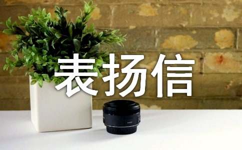 表揚(yáng)信類型與寫作