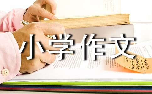 【熱門】小學作文400字合集七篇