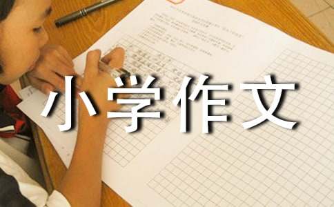 【精品】小學(xué)作文500字匯總9篇
