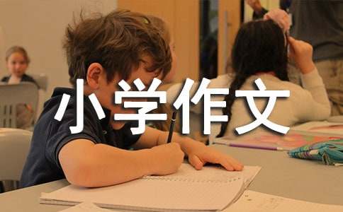 【熱門】小學(xué)作文600字錦集六篇