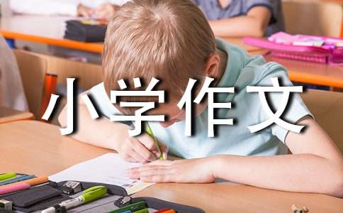 【精品】小學(xué)作文500字合集7篇