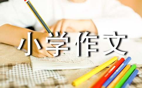 【精選】小學作文700字錦集七篇