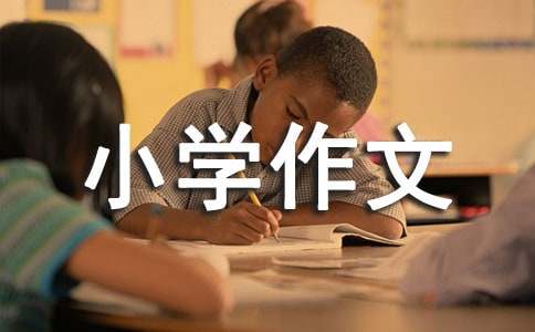 孝小學(xué)作文(合集15篇)